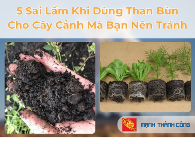 5 Sai Lầm Khi Dùng Than Bùn Cho Cây Cảnh Mà Bạn Nên Tránh