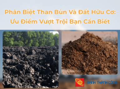 Phân Biệt Than Bùn Và Đất Hữu Cơ: Ưu Điểm Vượt Trội Bạn Cần Biết