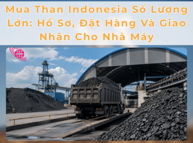 Mua Than Indonesia Số Lượng Lớn: Hồ Sơ, Đặt Hàng Và Giao Nhận Cho Nhà Máy