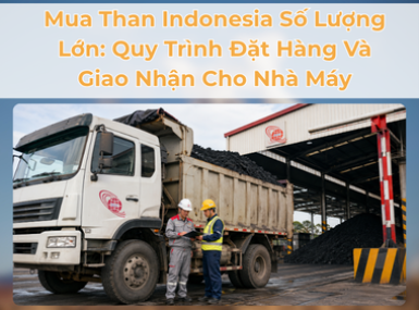 Mua Than Indonesia Số Lượng Lớn: Quy Trình Đặt Hàng Và Giao Nhận Cho Nhà Máy | Mạnh Thành Công