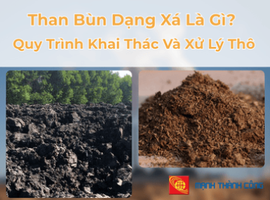 Than Bùn Dạng Xá Là Gì? Quy Trình Khai Thác Và Xử Lý Thô