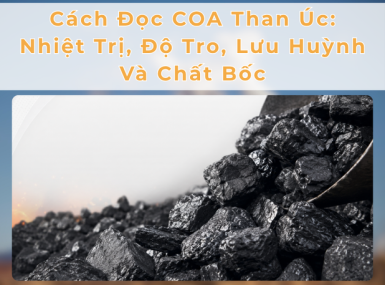 Cách Đọc COA Than Úc: Nhiệt Trị, Độ Tro, Lưu Huỳnh Và Chất Bốc