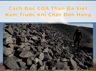 Cách Đọc COA Than Đá Việt Nam Trước Khi Chốt Đơn Hàng