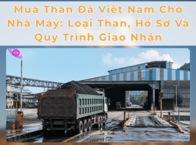 Mua Than Đá Việt Nam Cho Nhà Máy: Loại Than, Hồ Sơ Và Quy Trình Giao Nhận