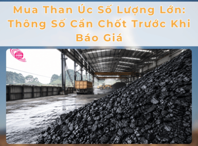 Mua Than Úc Số Lượng Lớn: Thông Số Cần Chốt Trước Khi Báo Giá