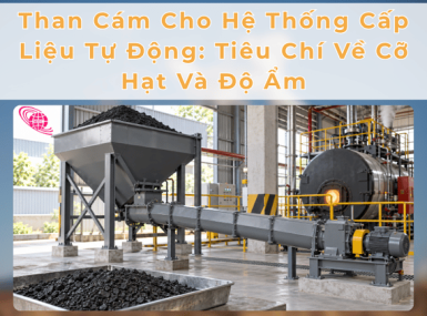 Than Cám Cho Hệ Thống Cấp Liệu Tự Động: Tiêu Chí Về Cỡ Hạt Và Độ Ẩm