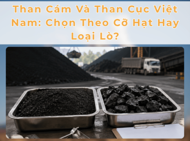 Than Cám Và Than Cục Việt Nam: Chọn Theo Cỡ Hạt Hay Loại Lò?