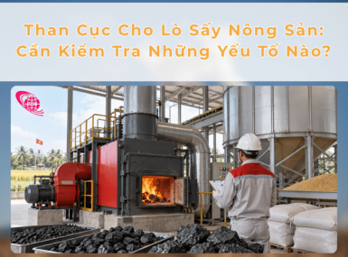 Than Cục Cho Lò Sấy Nông Sản: Cần Kiểm Tra Những Yếu Tố Nào?