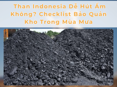 Than Indonesia Dễ Hút Ẩm Không? Checklist Bảo Quản Kho Trong Mùa Mưa