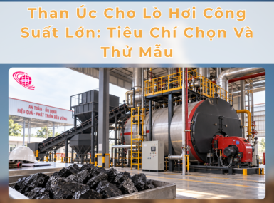 Than Úc Cho Lò Hơi Công Suất Lớn: Tiêu Chí Chọn Và Thử Mẫu