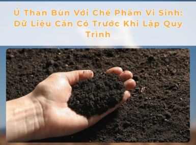 Ủ Than Bùn Với Chế Phẩm Vi Sinh: Dữ Liệu Cần Có Trước Khi Lập Quy Trình