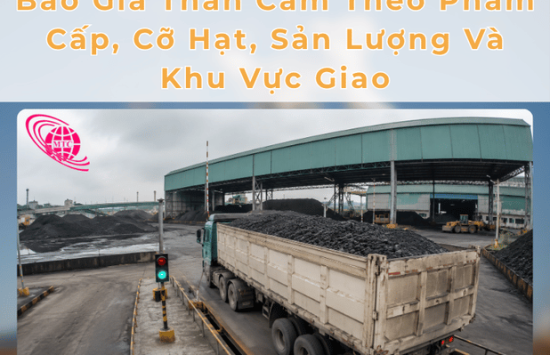 Báo Giá Than Cám Theo Phẩm Cấp, Cỡ Hạt, Sản Lượng Và Khu Vực Giao