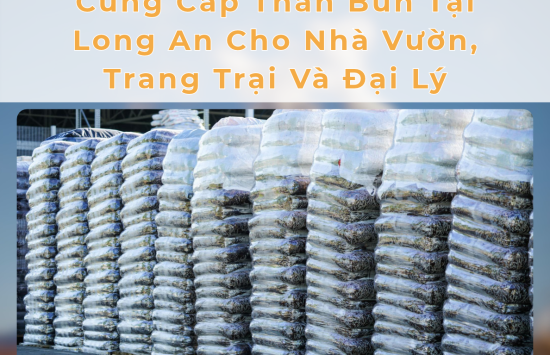 Cung Cấp Than Bùn Tại Long An Cho Nhà Vườn, Trang Trại Và Đại Lý
