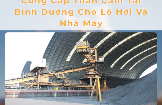 Cung Cấp Than Cám Tại Bình Dương Cho Lò Hơi Và Nhà Máy