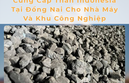 Cung Cấp Than Indonesia Tại Đồng Nai Cho Nhà Máy Và Khu Công Nghiệp