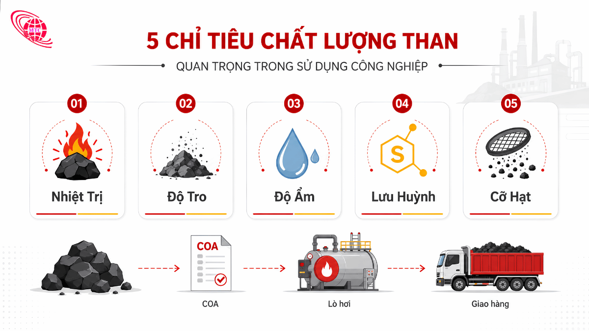 Infographic năm nhóm chỉ số than cần đối chiếu trước khi đặt hàng