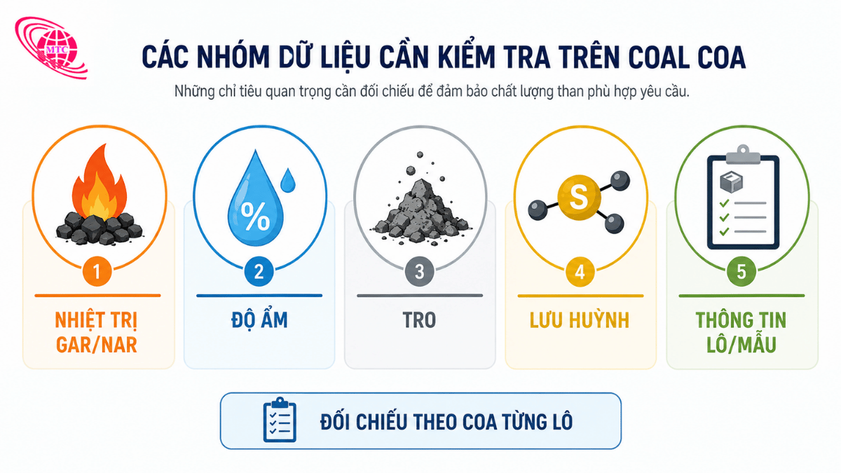 Minh họa các nhóm thông tin cần kiểm tra trên COA của than công nghiệp