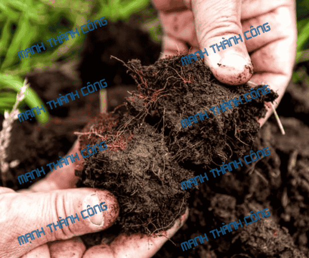 5 Lợi Ích Vượt Trội Của Than Bùn Trong Nông Nghiệp Đồng Nai