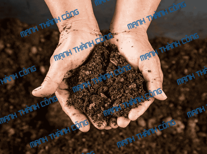 than bùn dạng xá tại TP.HCM