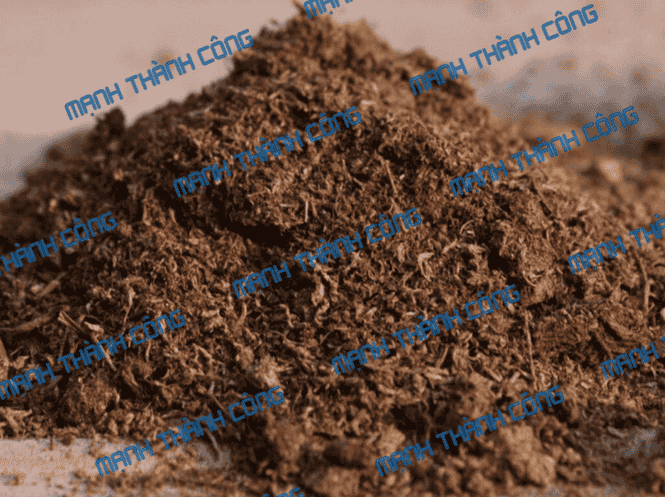 Than Bùn Tuyển Chất Lượng Cao