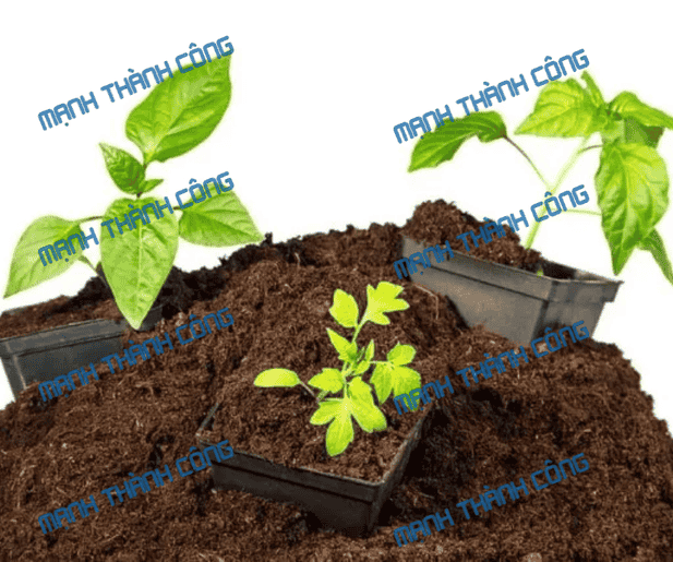than bùn trong nông nghiệp tại đồng nai