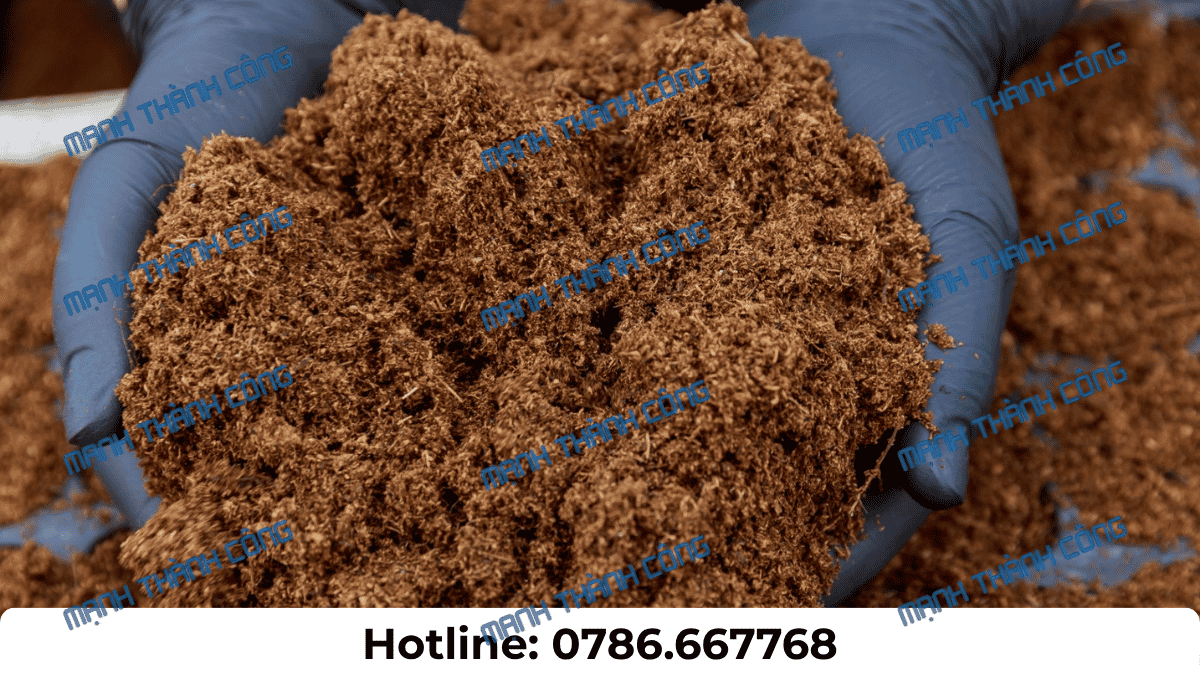 Các khay mẫu than bùn được kiểm tra tại khu QA/QC nguyên liệu nông nghiệp