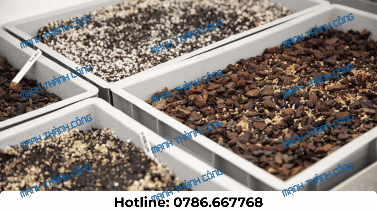 Các khay than bùn và vật liệu phối trộn giá thể được bố trí trên bàn kiểm tra