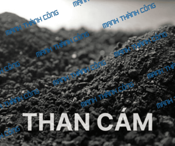 than cám đồng nai