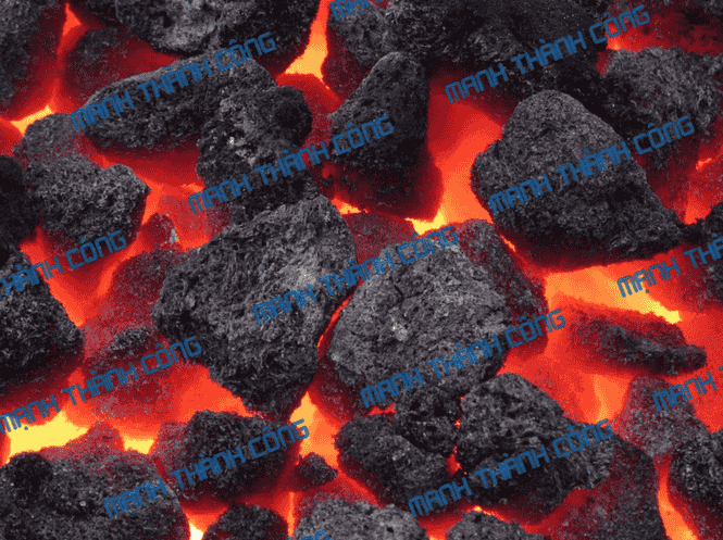 than cục tại đồng nai