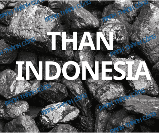 Dự Báo Giá Than Indonesia Năm 2026 – Xu Hướng & Tác Động Đến Đồng Nai